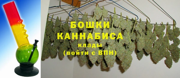 прущие крисы Заводоуковск