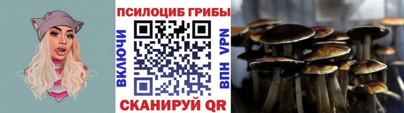 Псилоцибиновые грибы прущие грибы  цены наркотик  Нальчик 